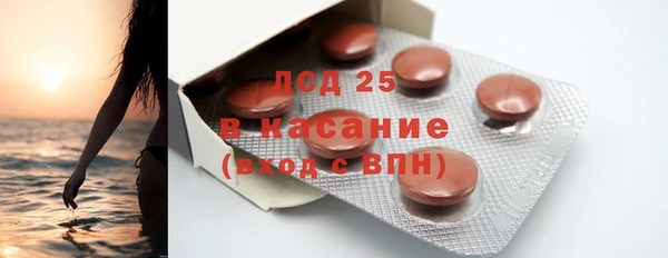 ГАЛЛЮЦИНОГЕННЫЕ ГРИБЫ Кукмор