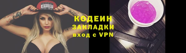 ГАЛЛЮЦИНОГЕННЫЕ ГРИБЫ Кукмор