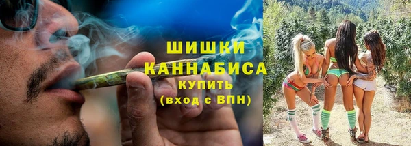 ГАЛЛЮЦИНОГЕННЫЕ ГРИБЫ Кукмор