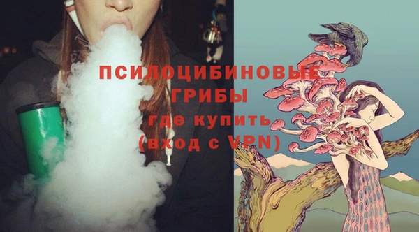 ГАЛЛЮЦИНОГЕННЫЕ ГРИБЫ Кукмор