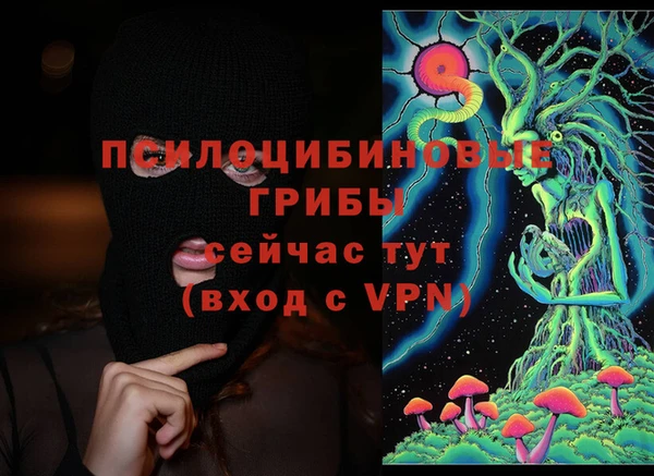 эйфоретик Лабытнанги