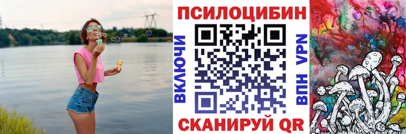 мега онион  что такое   darknet наркотические препараты  Галлюциногенные грибы прущие грибы  Невьянск 